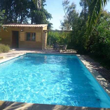 Duplex 130M2 Dans Un Mas Entoure De Vergers - Piscine Saint-Feliu-d'Avall Eksteriør billede