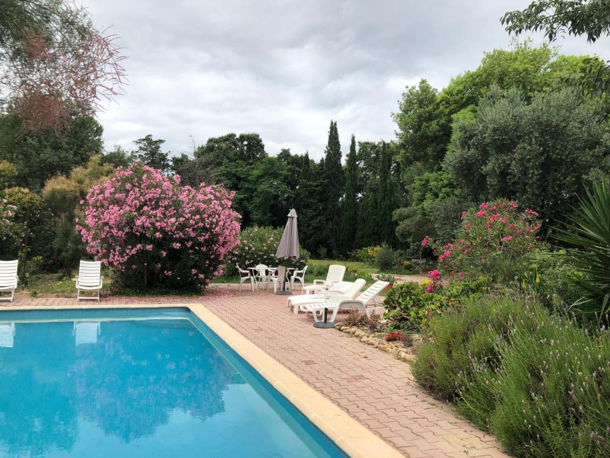 Duplex 130M2 Dans Un Mas Entoure De Vergers - Piscine Saint-Feliu-d'Avall Eksteriør billede