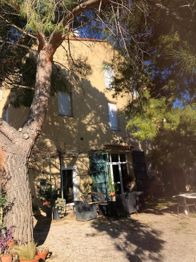 Duplex 130M2 Dans Un Mas Entoure De Vergers - Piscine Saint-Feliu-d'Avall Eksteriør billede