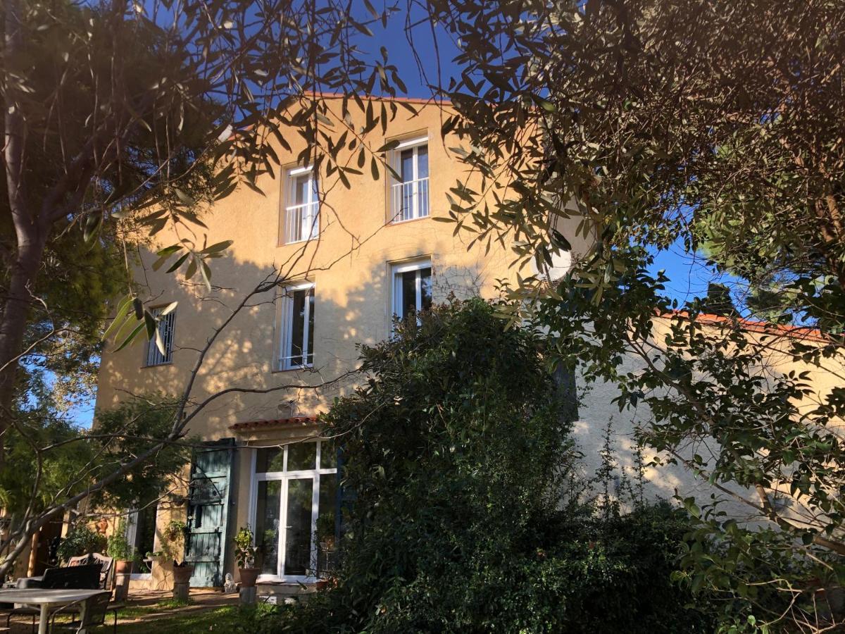 Duplex 130M2 Dans Un Mas Entoure De Vergers - Piscine Saint-Feliu-d'Avall Eksteriør billede